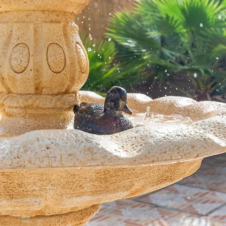 Valentina - Renovated On Alamos Willa *